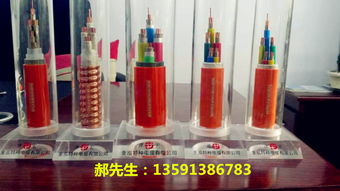 大连金泓特种电缆 深耕特种电缆领域，以专业与创新驱动行业发展