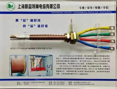 科技创新引领未来 金山特种电缆项目入选上海市高新技术成果转化名单